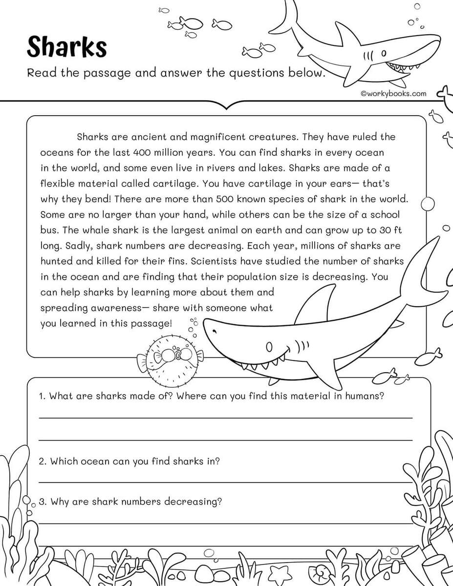 10 Free 3rd Grade Reading Fluency Passages Workybooks