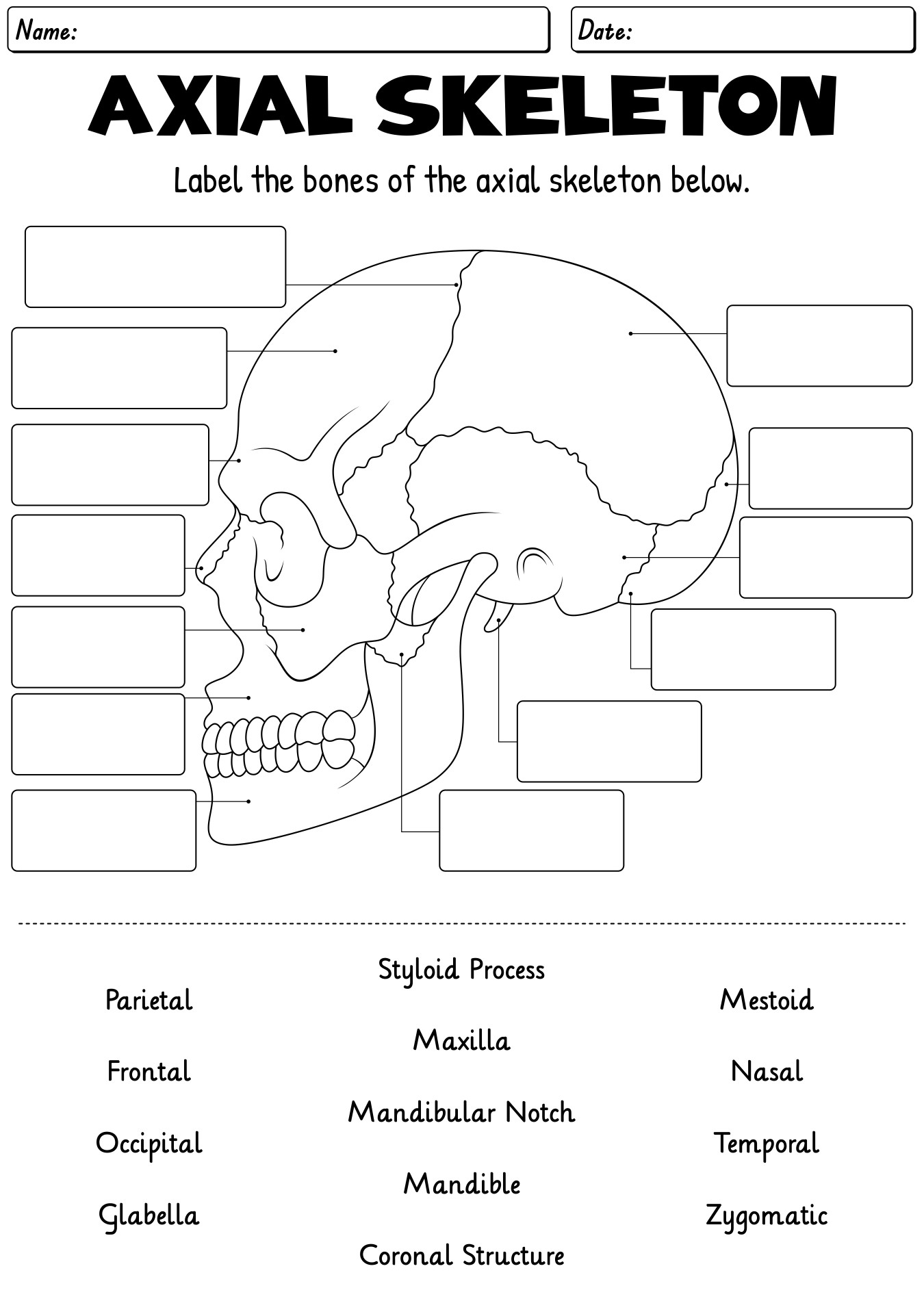 13 Skeleton Bones Labeled Worksheets Free PDF At Worksheeto 13 Skeleton Bones Labeled Worksheets Free PDF At Worksheeto