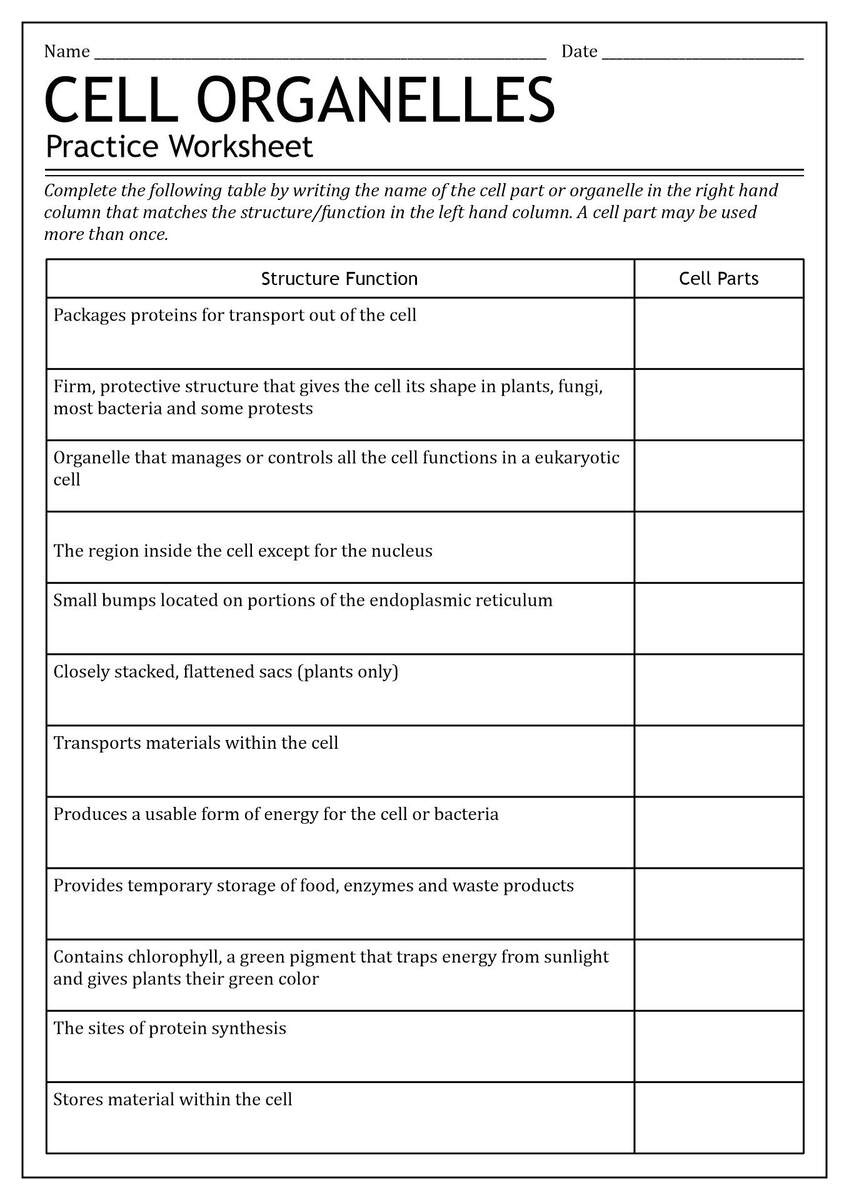 15 Label Cell Organelles Worksheet Worksheets Library