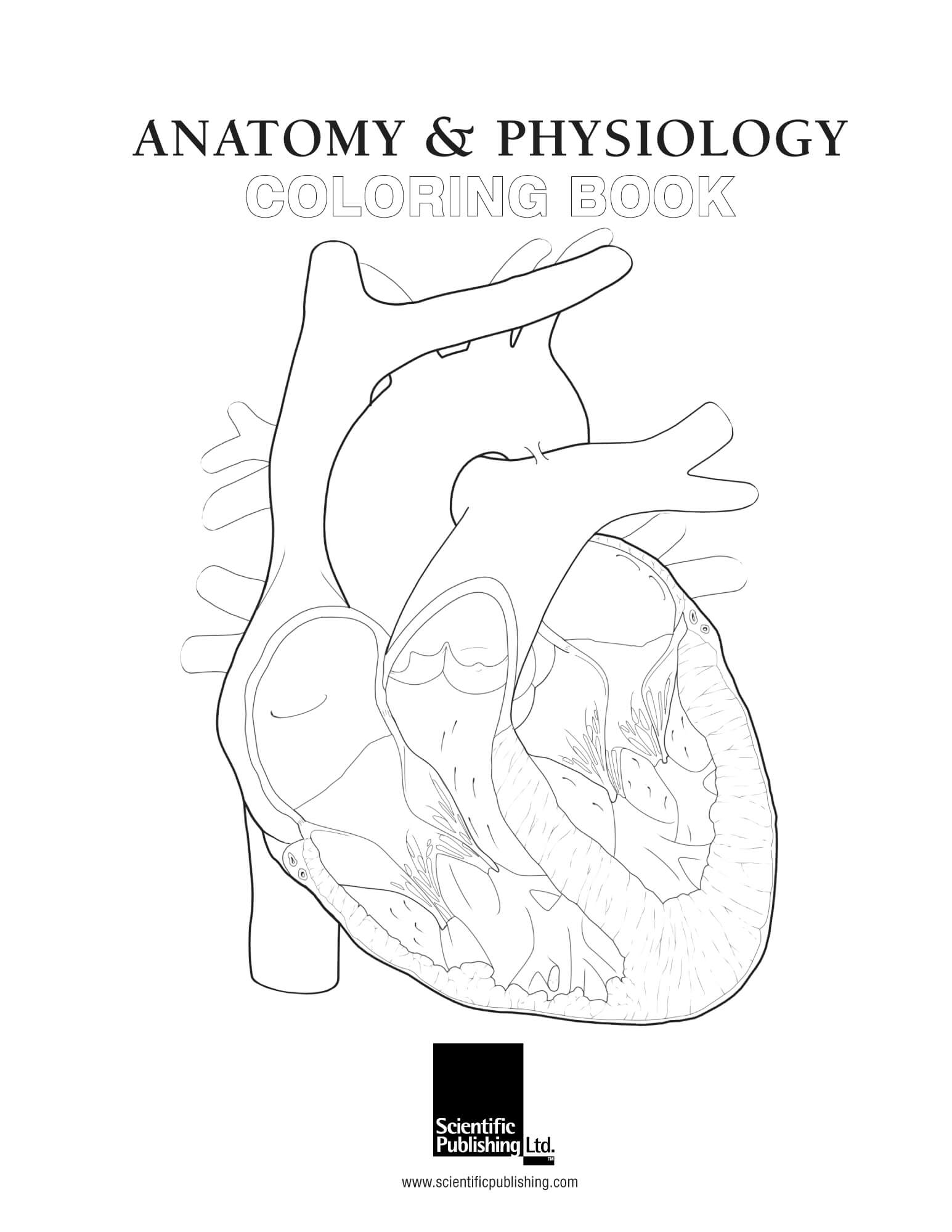 Anatomy Physiology Coloring Book Scientific Publishing Anatomy Physiology Coloring Book Scientific Publishing
