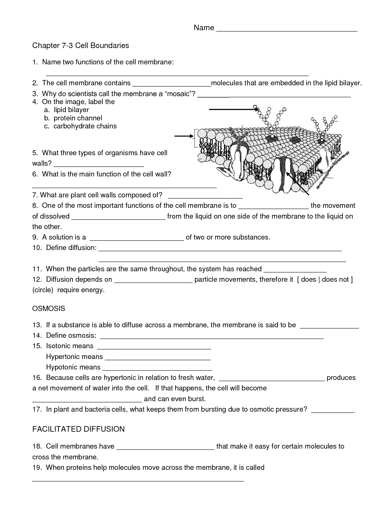 Biology Cell Worksheets Worksheets Library Biology Cell Worksheets Worksheets Library