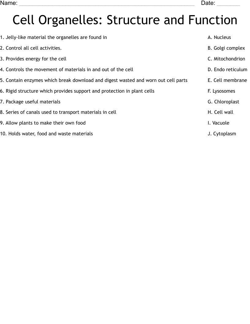 Cells And Their Environment Worksheet WordMint
