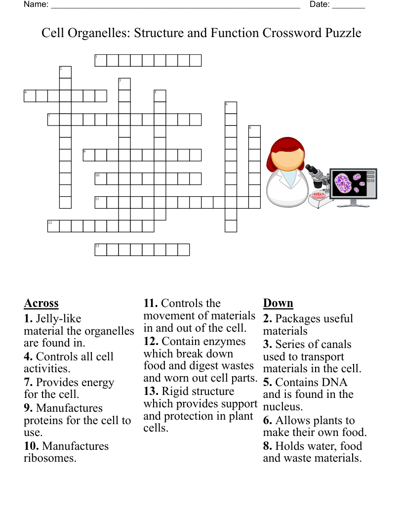 Cells And Their Environment Worksheet WordMint