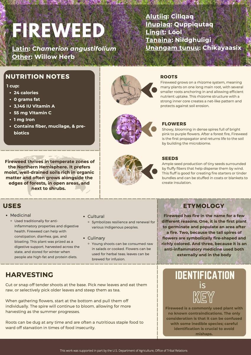 Fireweed NATIFS Fireweed NATIFS
