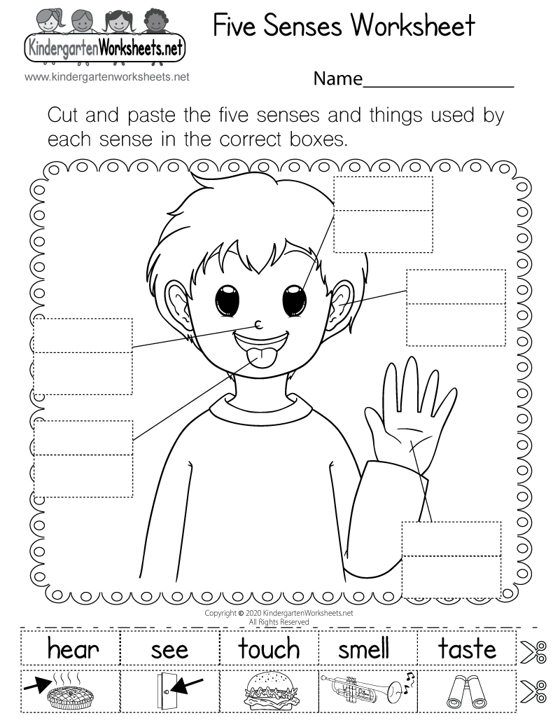 Five Senses Worksheet Free Printable Digital PDF Our 5 Senses Activities For Kids Free Printable Pack