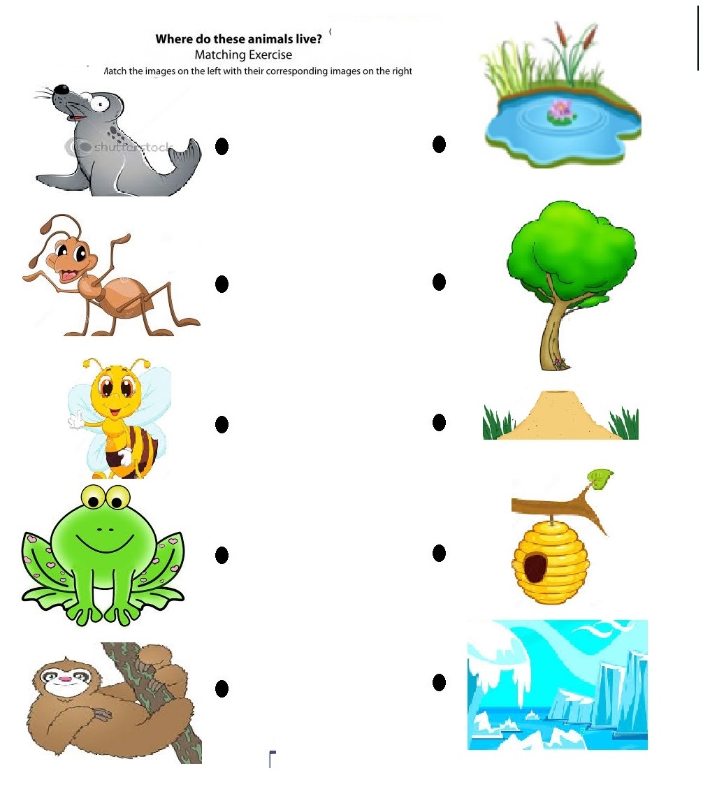 Free Animals Homes Worksheet Download Free Animals Homes Worksheet Png Images Free Worksheets On Clipart Library