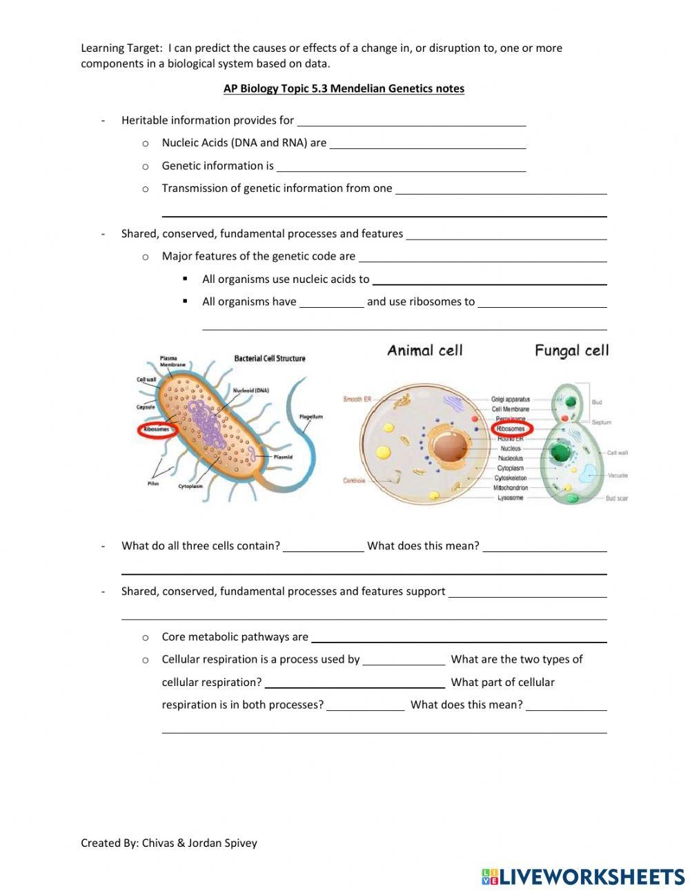 Free Ap Biology Worksheet Download Free Ap Biology Worksheet Png Images Free Worksheets On Clipart Library