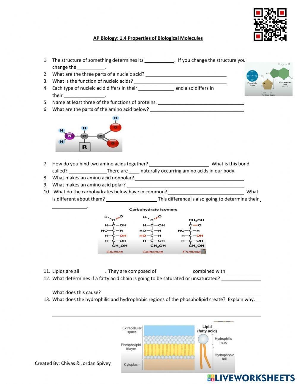 Free Ap Biology Worksheet Download Free Ap Biology Worksheet Png Images Free Worksheets On Clipart Library