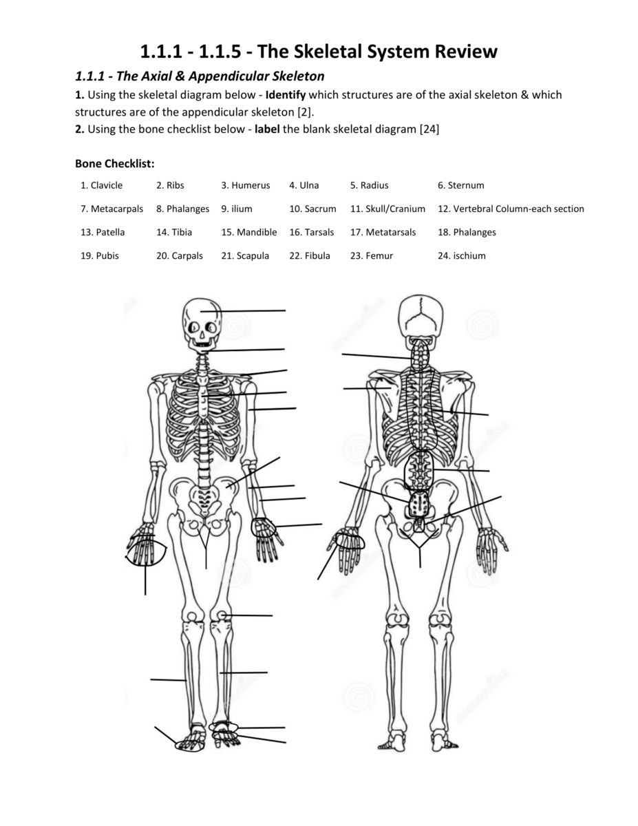 Free Appendicular Skeleton Labeling Worksheet Download Free Appendicular Skeleton Labeling Worksheet Png Images Free Worksheets On Clipart Library