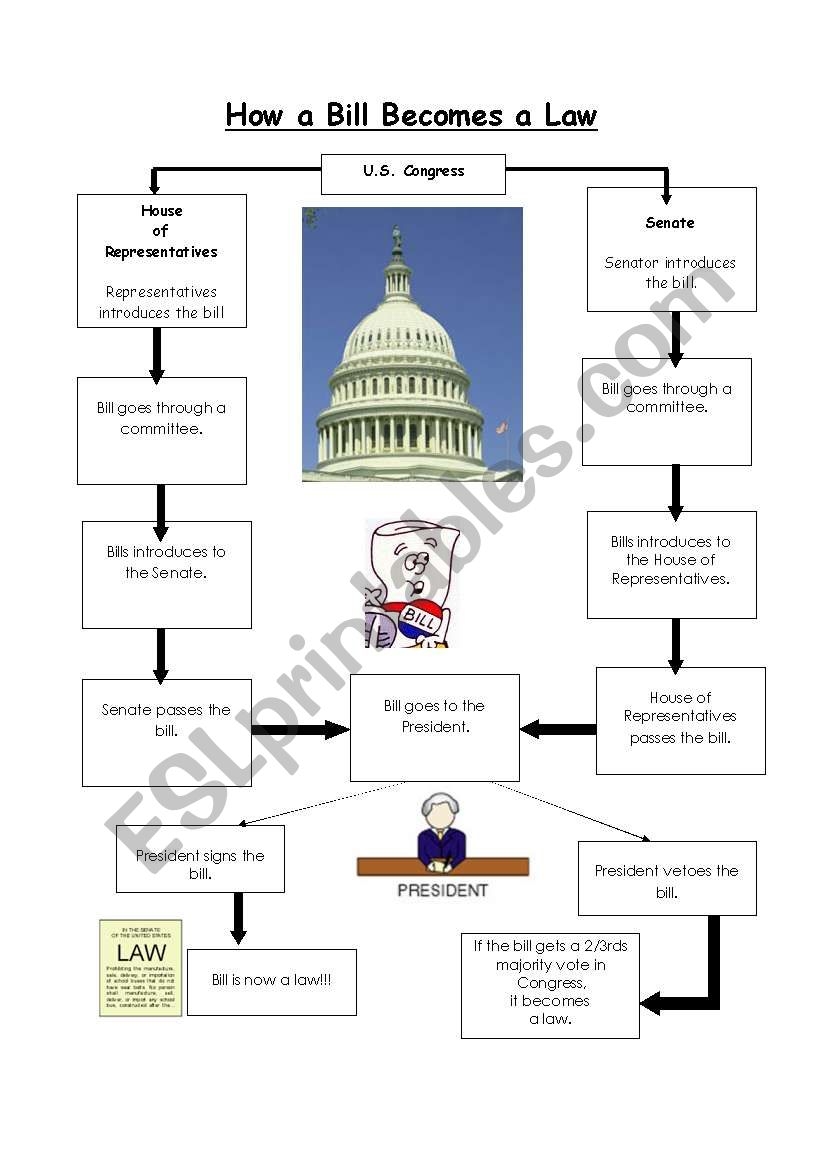 How A Bill Becomes A Law Graphic Organizer Worksheets Library