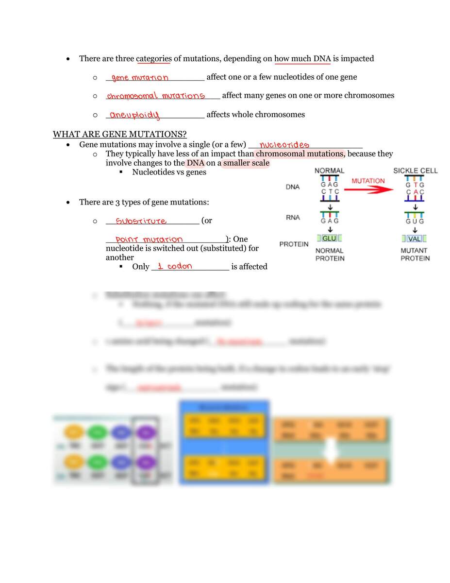Free Mutation Worksheet For Middle School Download Free Mutation Worksheet For Middle School Png Images Free Worksheets On Clipart Library