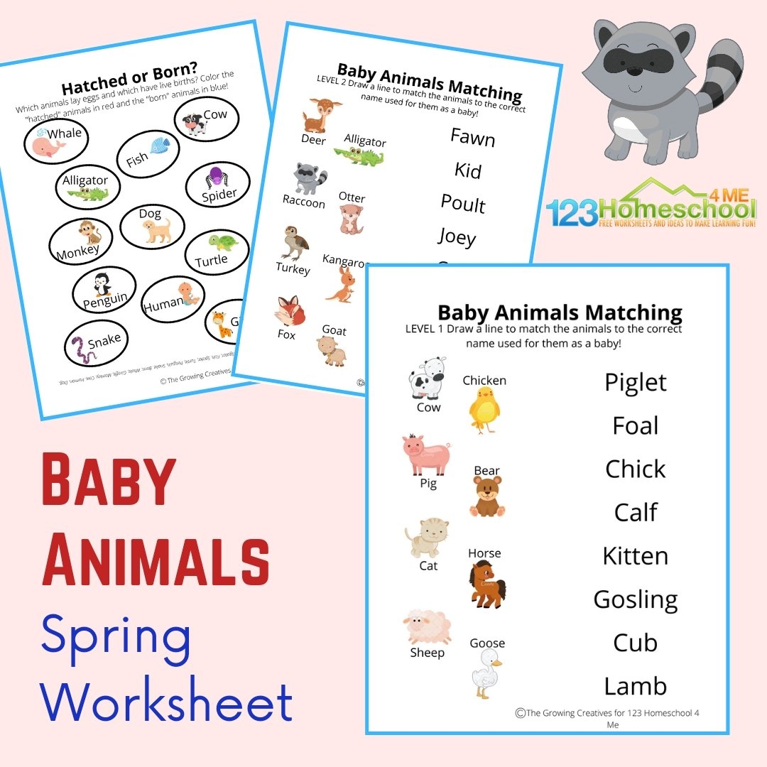 FREE Printable Baby Animals Worksheets FREE Printable Baby Animals Worksheets