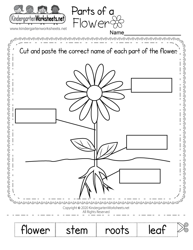 Kids Can Label A Plant S Stem Roots Leaves And Flower In This Free Worksheet By Completing An Easy Cut And Paste Activity You Can Download And Print It Right Now Https T Co Xmy9jzmtv1 Kids Can Label A Plant S Stem Roots Leaves And Flower In This Free Worksheet By Completing An Easy Cut And Paste Activity You Can Download And Print It Right Now Https T Co Xmy9jzmtv1