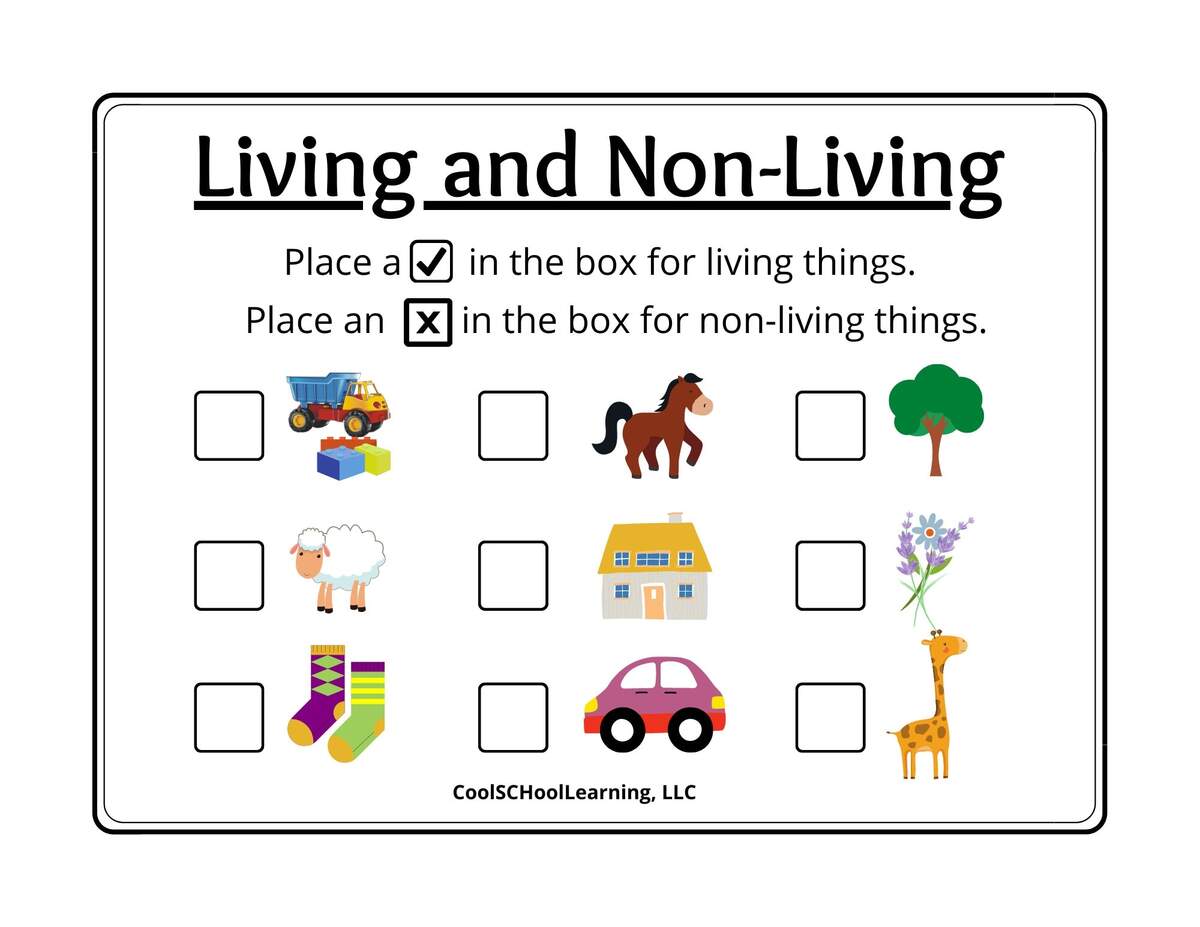 Science Living And Non Living Things Worksheet For Grade 1 2 3 4 Made By Teachers