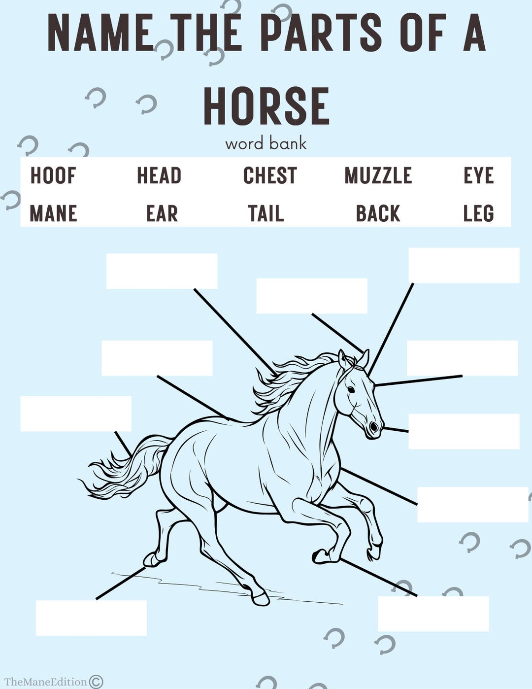 Name The Parts Of A Horse Digital Horse Educational Worksheet Etsy Name The Parts Of A Horse Digital Horse Educational Worksheet Etsy