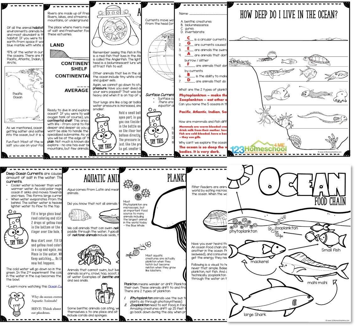 Ocean Animals UNIT 123 Homeschool 4 Me