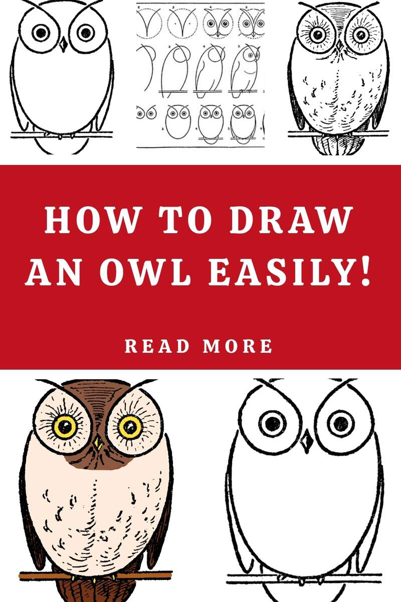 Owl Drawing Step By Step 3 Ways The Graphics Fairy