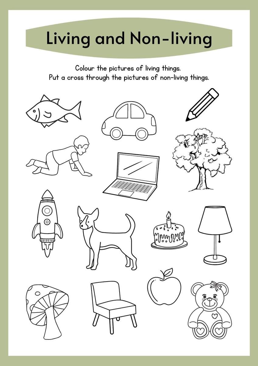 Page 17 Free Editable Kindergarten Worksheets Canva