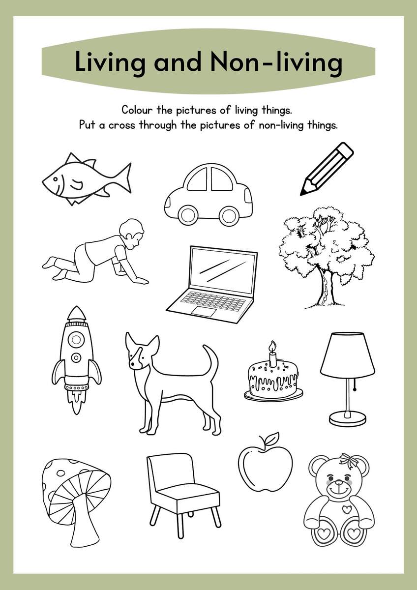 Page 17 Free Editable Kindergarten Worksheets Canva