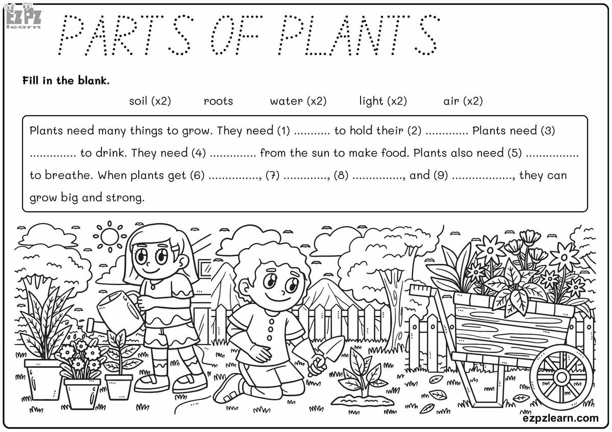 Part Of Plants Fill In The Blanks And Coloring Activity For Kids Free PDF Download For Kids Ezpzlearn