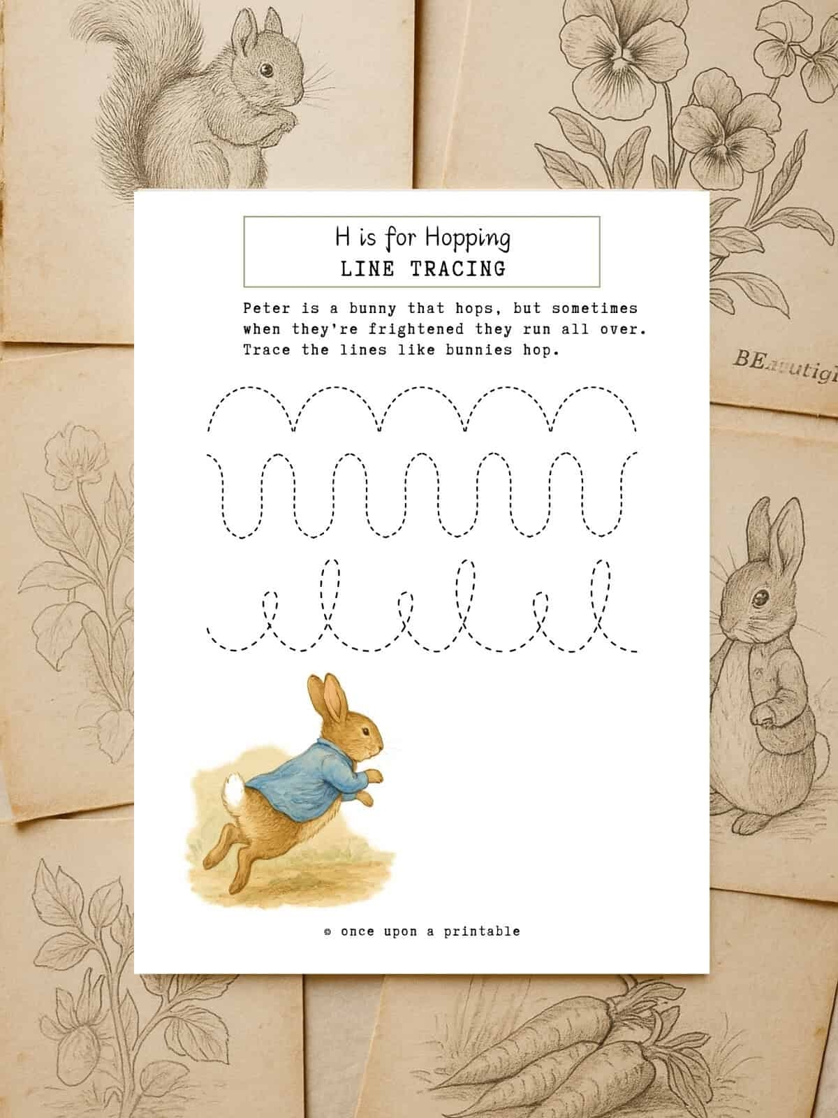 Peter Rabbit Printables Once Upon A Printable