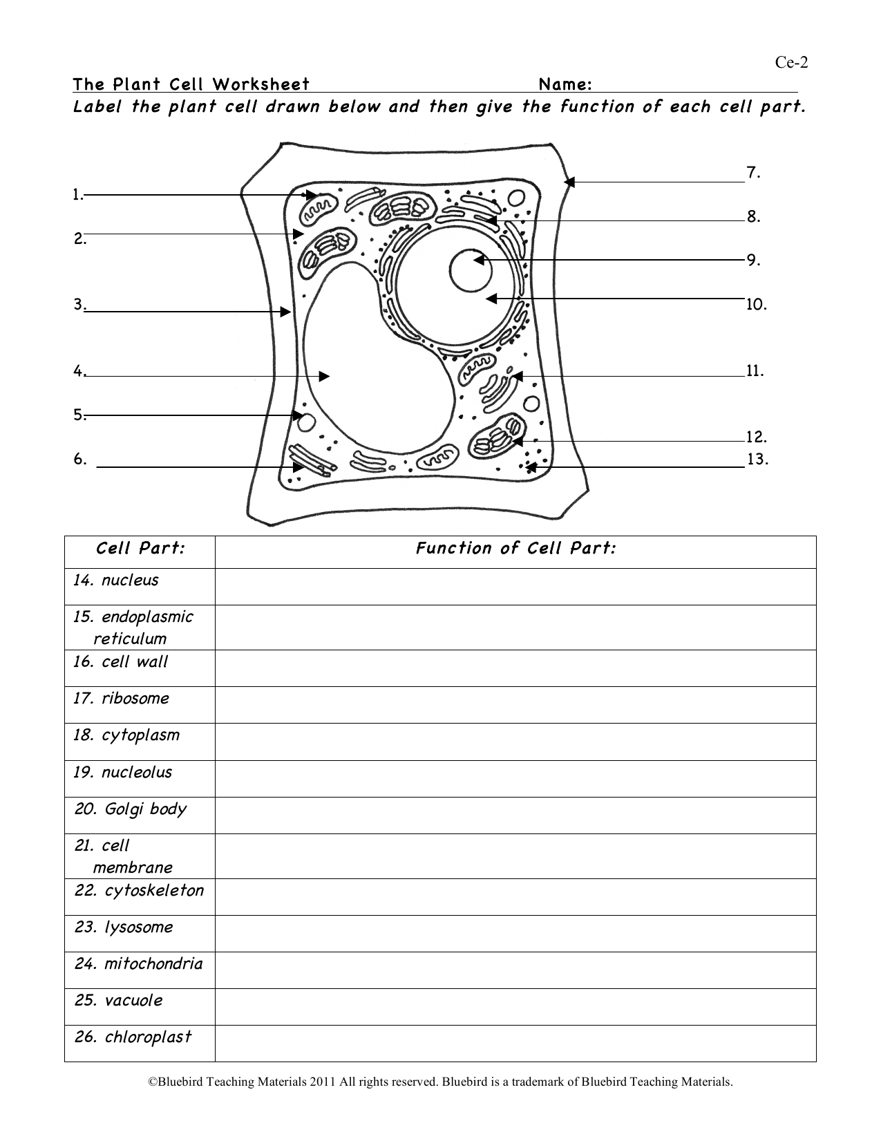 Free Plant Cell Worksheets With Answer Key The Simple Homeschooler