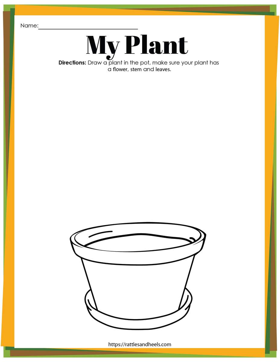 Plant Life Cycle Worksheets Free Printables For Kids Adanna Dill Plant Activities For Preschoolers Parts Of A Plant Worksheet TeachersMag