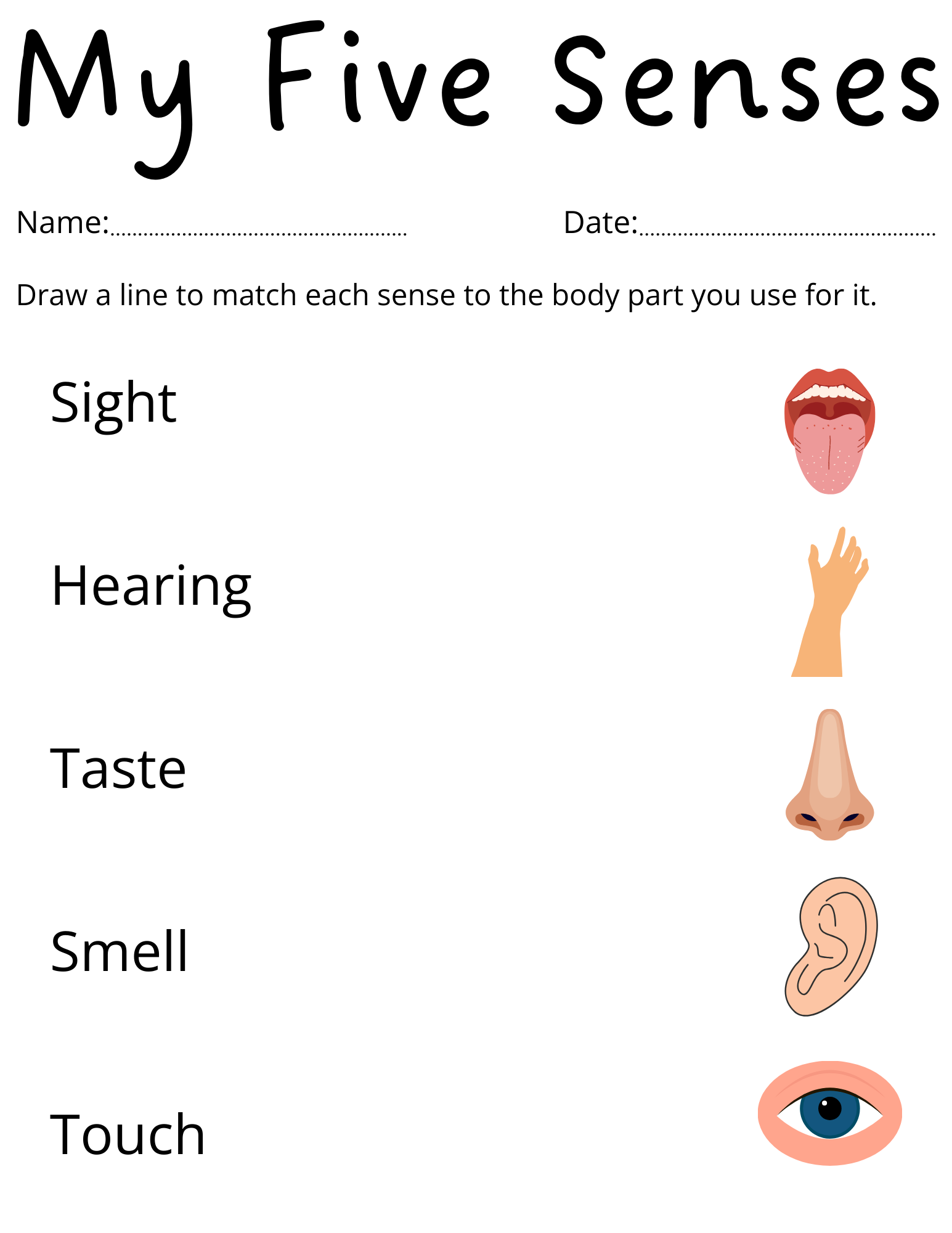 Five Senses Worksheet Free For Kindergarten And Grade 1