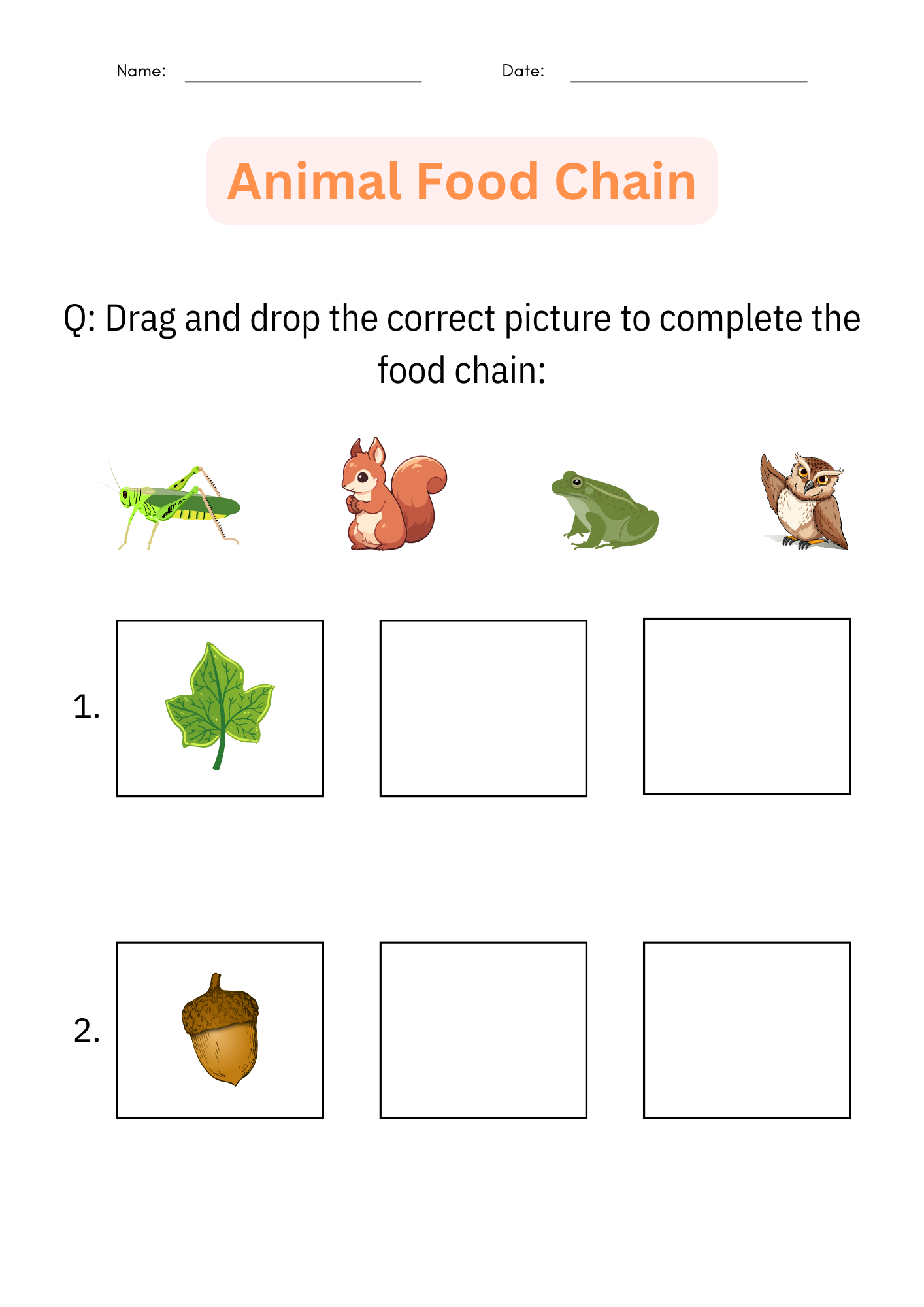 Printable Animal Food Chain Worksheet And Activity Cut And Paste For Grade 1 Made By Teachers Printable Animal Food Chain Worksheet And Activity Cut And Paste For Grade 1 Made By Teachers