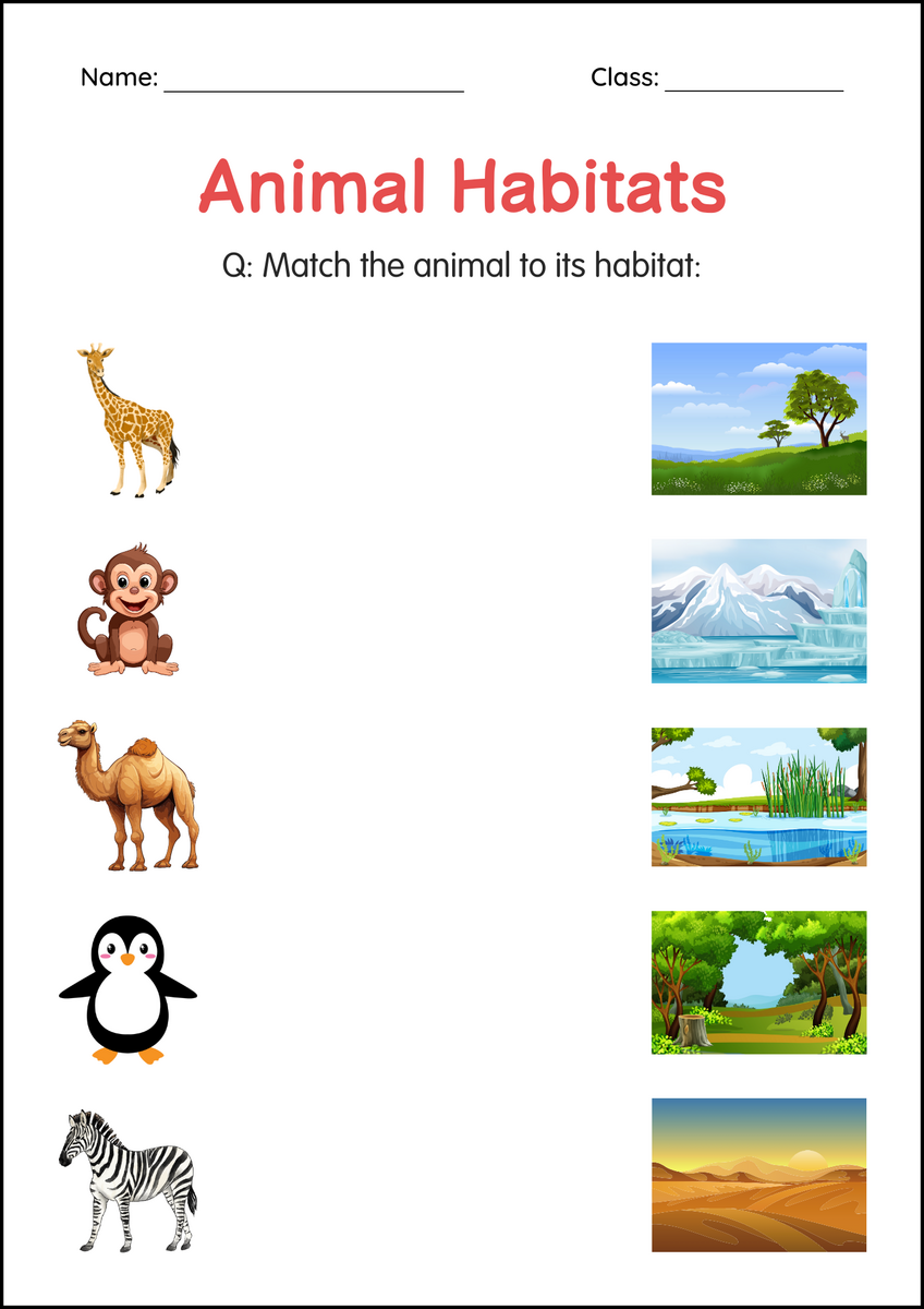 Printable Animal Habitats Worksheets Habitat Of Animals Activity For Grade 3 Made By Teachers