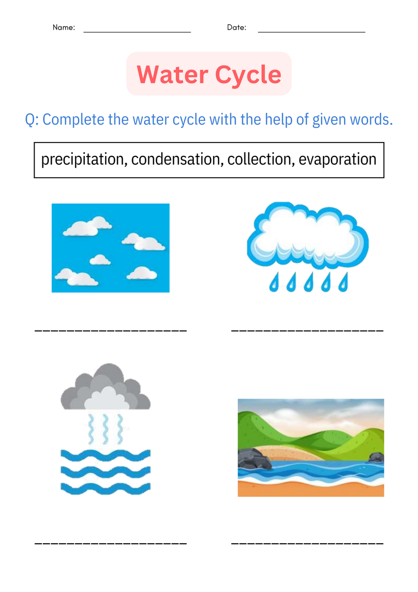 FREE Printable Water Cycle Worksheets For Kids