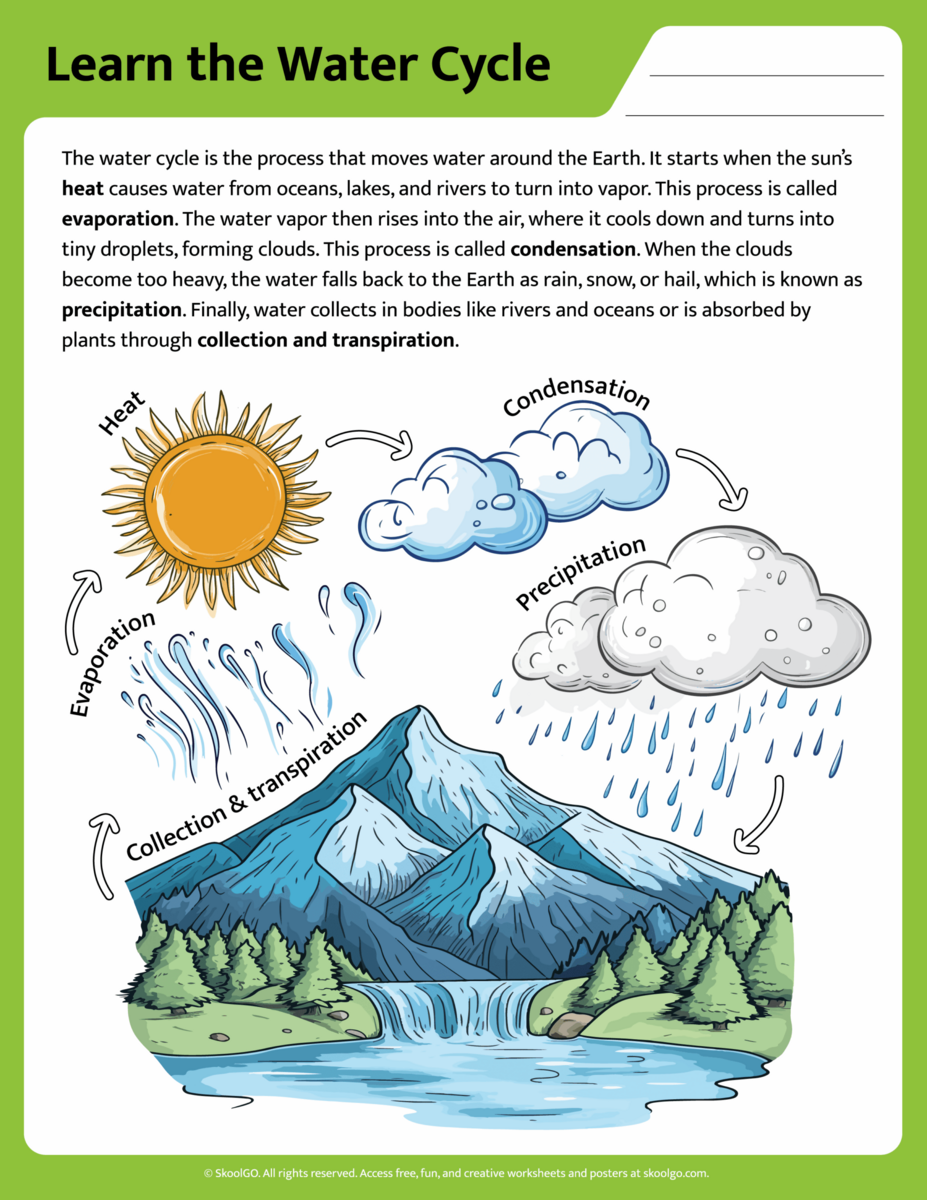 Printable Water Cycle Worksheet For Kids SKOOLGO Printable Diagram Science Water Cycle Worksheet And Activities For Grade 1 2 3 Made By Teachers