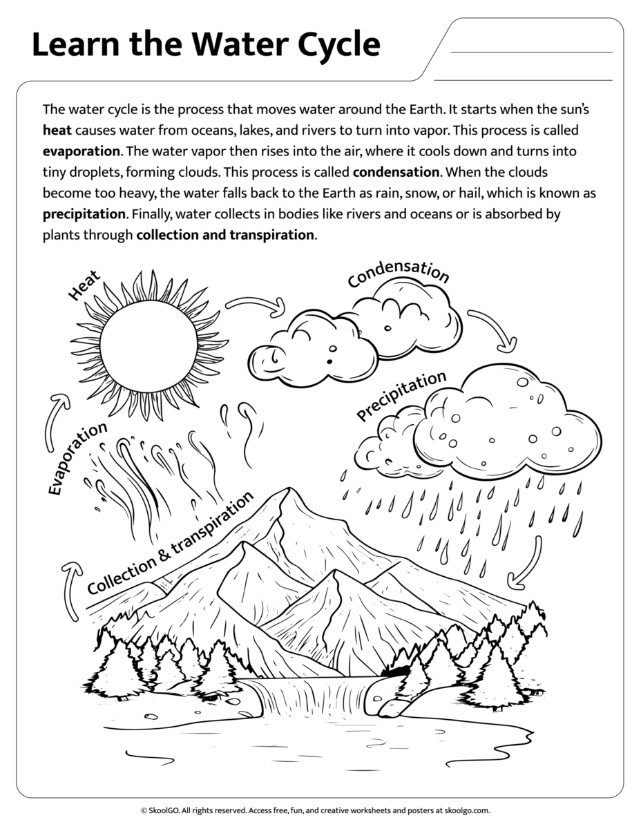 Water Cycle Printables Teaching Mama