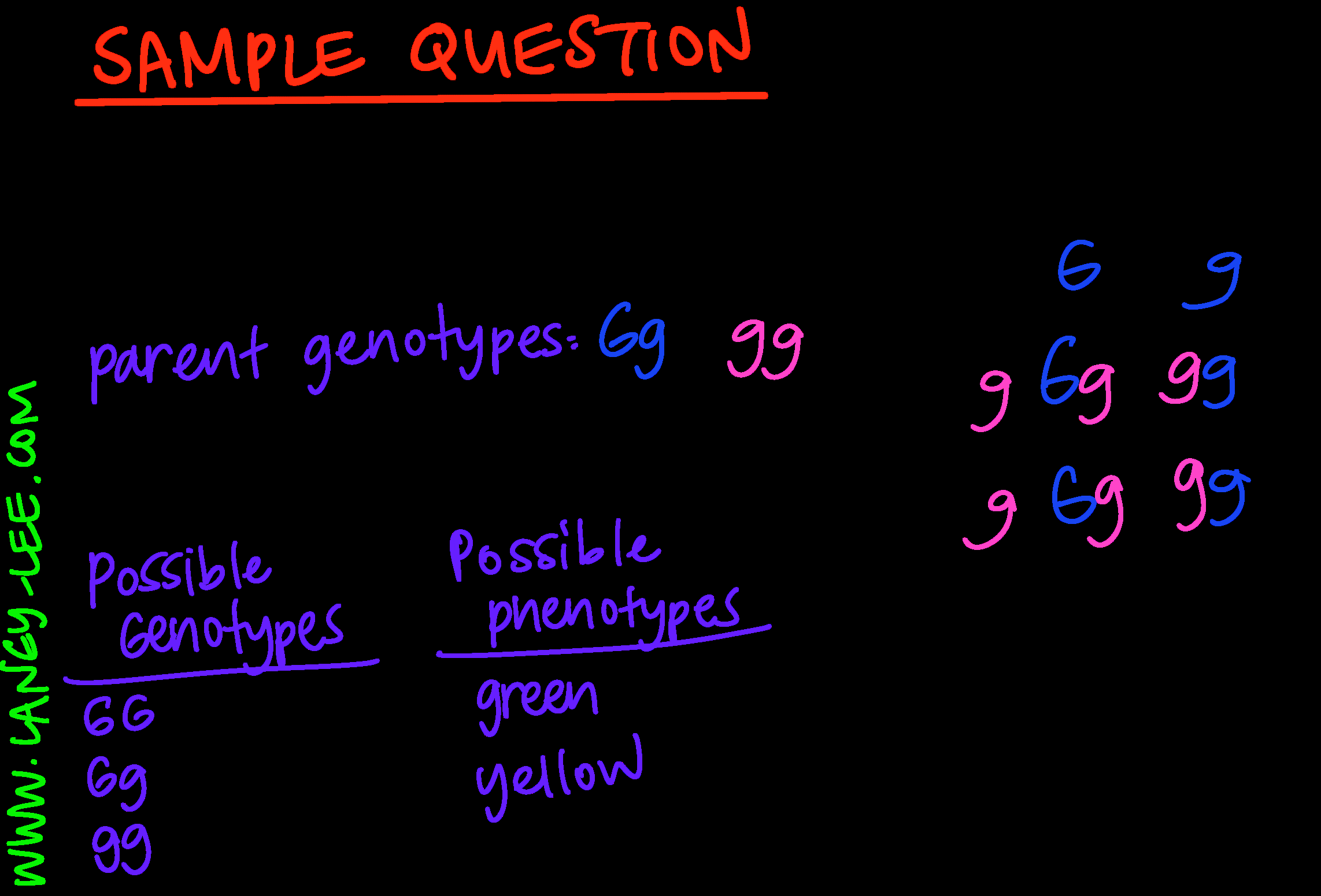 Heredity And Punnett Squares Activities For Middle School Science