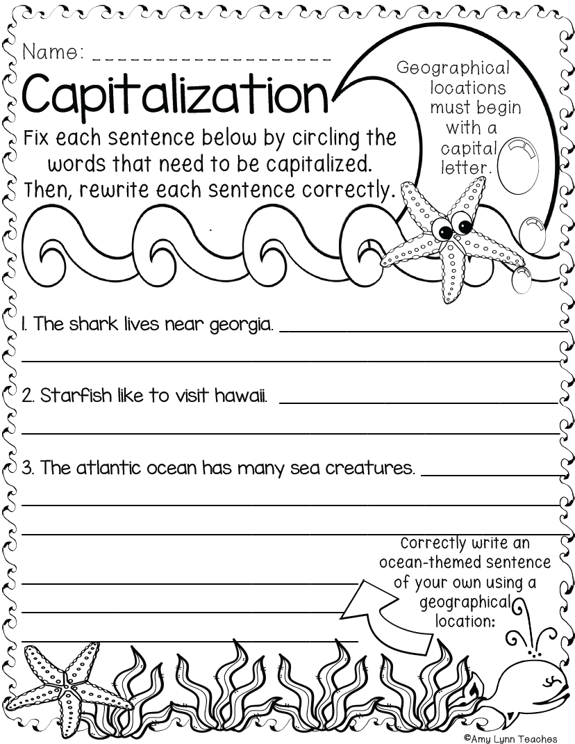 Second Grade Ocean Themed Worksheets 100 Standards Aligned Printables Made By Teachers