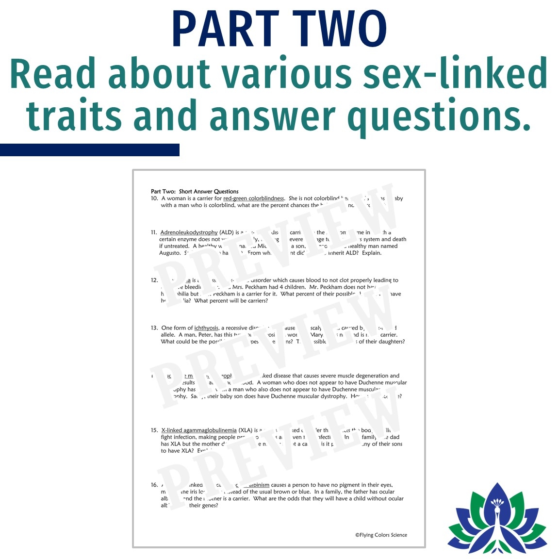Sex Linked Traits Worksheet Flying Colors Science