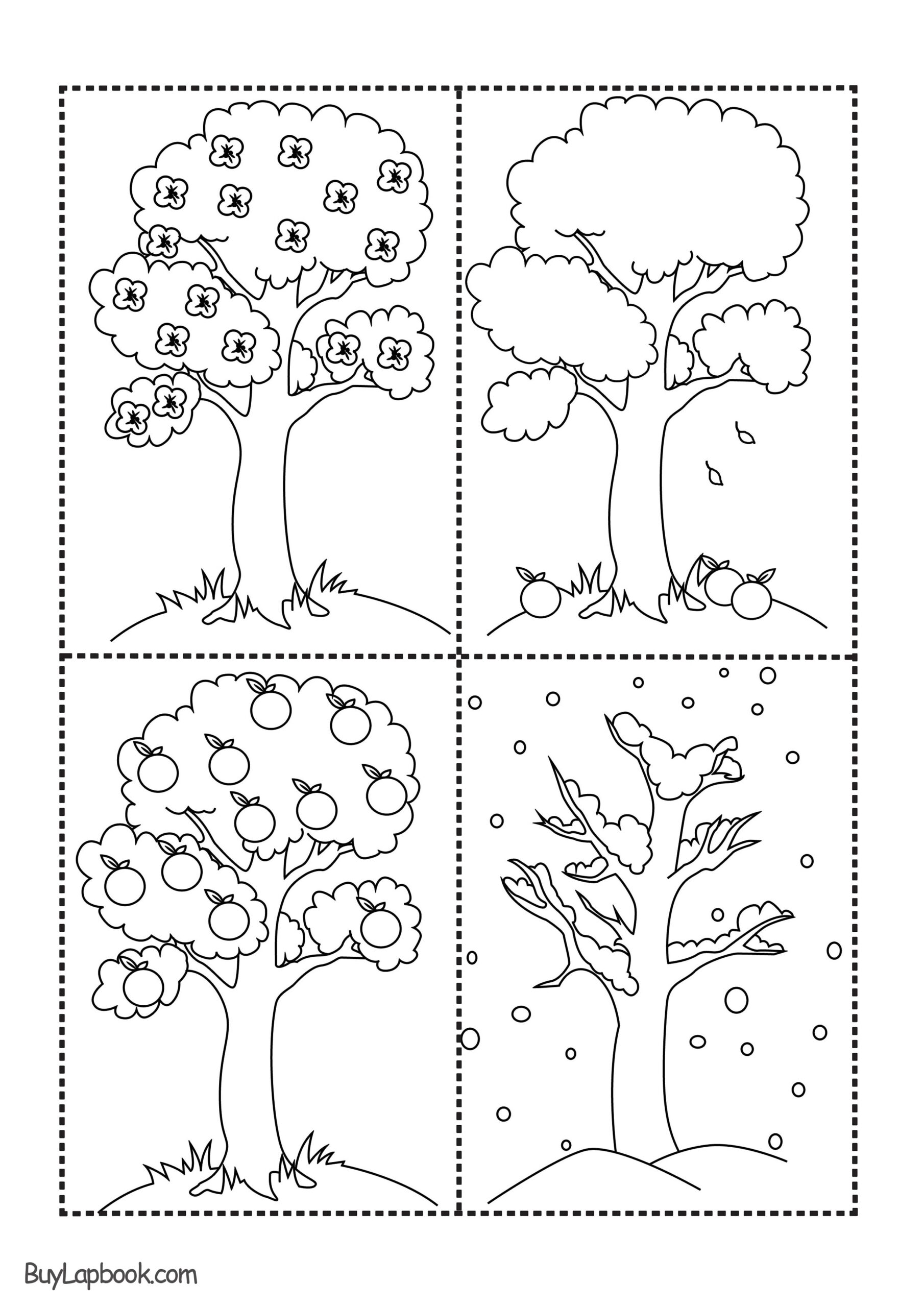 The Four Seasons Of The Apple Tree Printables BuyLapbook The Four Seasons Of The Apple Tree Printables BuyLapbook