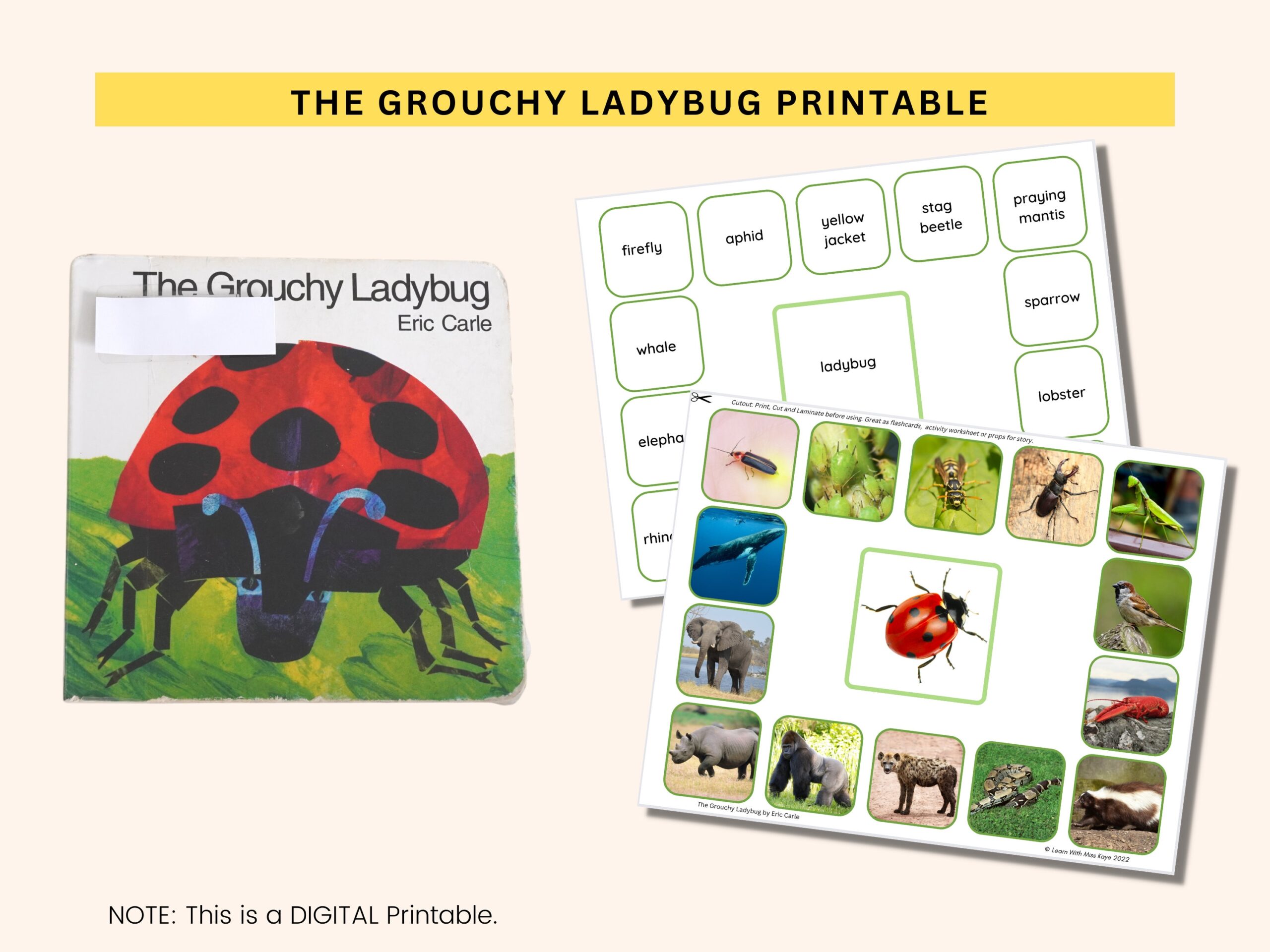 The Grouchy Ladybug Printable Worksheet Eric Carle Activity PDF Etsy The Grouchy Ladybug Printables CrystalandComp
