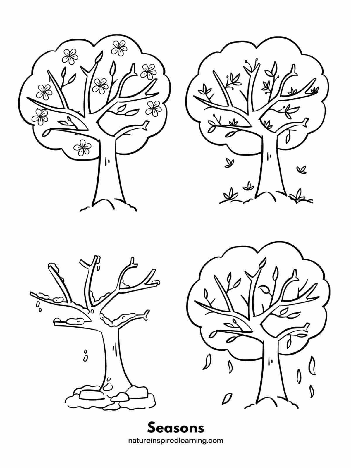 Tree Coloring Pages Nature Inspired Learning The Four Seasons Of The Apple Tree Printables BuyLapbook