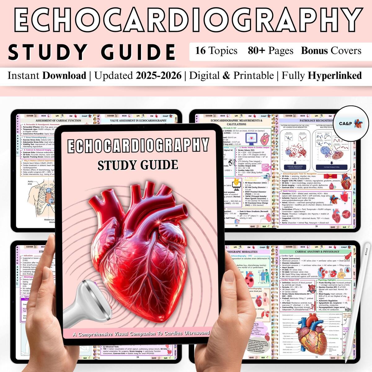 Ultrasound Vascular Study Guide Etsy